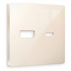 Накладка для розетки type a и c ambrella volt quant ap3110